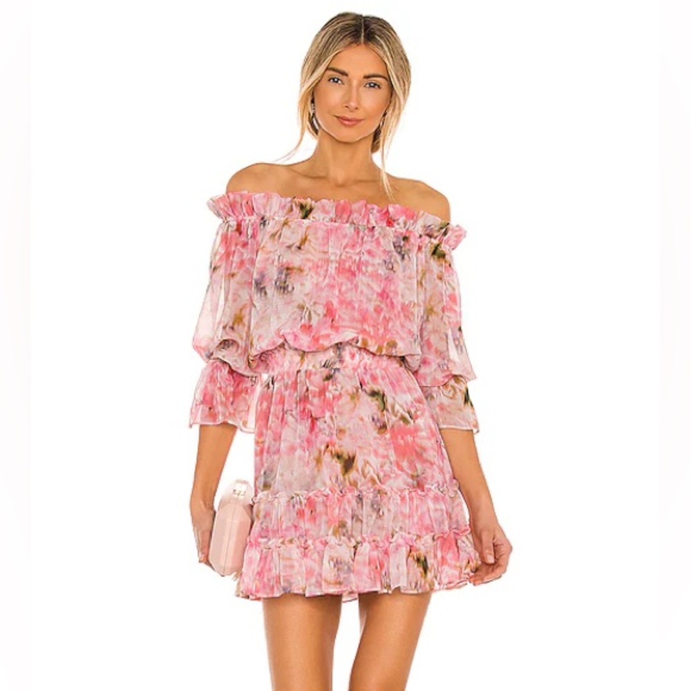MISA Danae Dress XS in Taza Floral